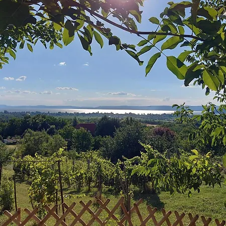 Víztükör * Zamárdi