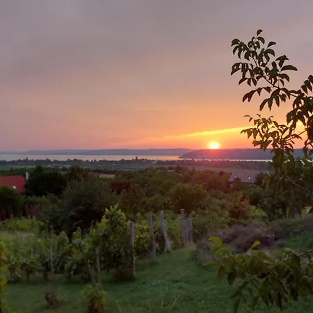 Ferienhaus Viztuekoer Vendeghaz Zamárdi