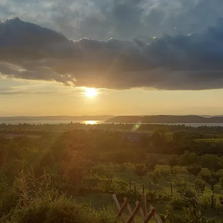 Víztükör *
