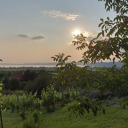 Víztükör Casa de Férias *