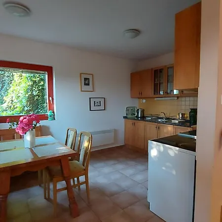 Víztükör *